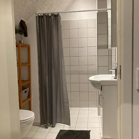 Bed And Kitchen