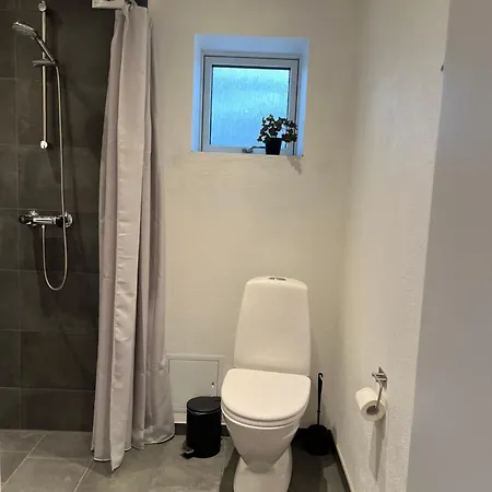 Bed And Kitchen